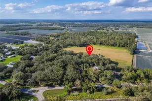 5020 Sydney Rd, Plant City, FL 33566 - Photo 3