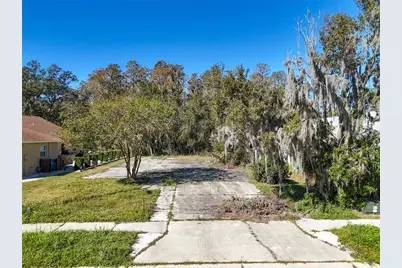 1323 Baythorn Drive, Wesley Chapel, FL 33543 - Photo 1