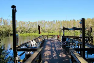 20853 Haulover Cove, Lutz, FL 33558 - Photo 31