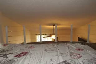 20853 Haulover Cove, Lutz, FL 33558 - Photo 23