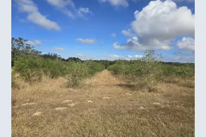 9229 Fort King Rd Road, Dade City, FL 33525 - Photo 55