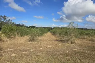 9229 Fort King Rd Rd, Dade City, FL 33525 - Photo 55