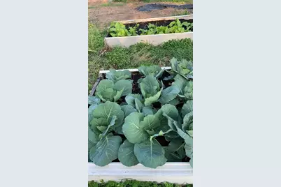 9229 Fort King Rd Road, Dade City, FL 33525 - Photo 63