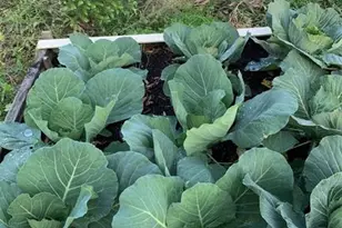 9229 Fort King Rd Rd, Dade City, FL 33525 - Photo 63