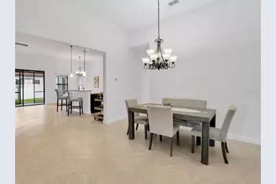 11926 Cinnamon Fern Drive, Riverview, FL 33579 - Photo 7