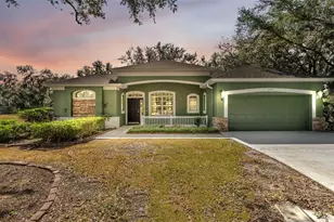 2921 Juniper Lake Pl, Plant City, FL 33566 - Photo 1