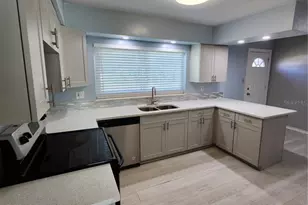 1321 W Nassau St, Tampa, FL 33607 - Photo 5