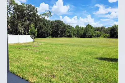 413 Shannon Estates Court, Plant City, FL 33563 - Photo 25