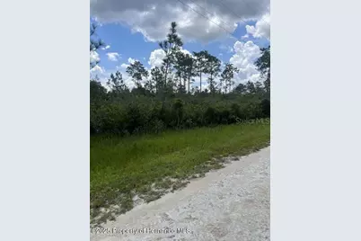 00 Ramsey Road, Brooksville, FL 34614 - Photo 3