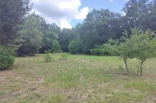 5595 E Arthur St, Inverness, FL 34452 - Photo 1