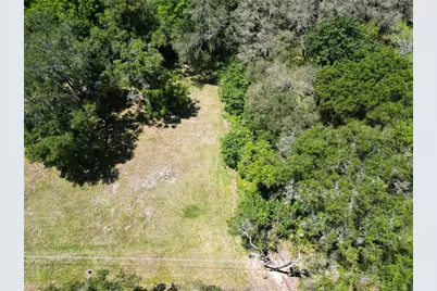 Elm Street, Safety Harbor, FL 34695 - Photo 3