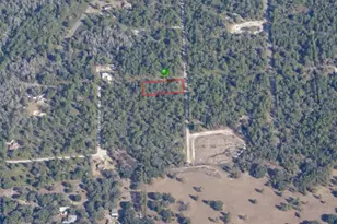 11240 W Dragonhead Dr, Crystal River, FL 34428 - Photo 9