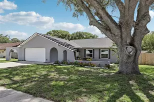 1009 Black Knight Dr, Valrico, FL 33594 - Photo 61