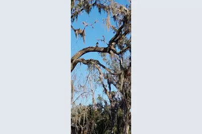 11105 Winn Road, Riverview, FL 33569 - Photo 15