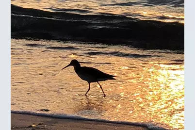 100 Bluff View Drive #415A, Belleair Bluffs, FL 33770 - Photo 63