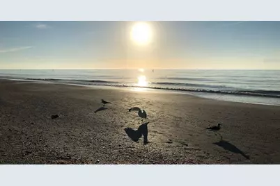 100 Bluff View Drive #415A, Belleair Bluffs, FL 33770 - Photo 41