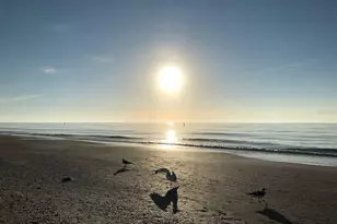 100 Bluff View Dr, Belleair Bluffs, FL 33770 - Photo 41