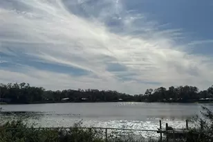 3922 Lake Joyce Dr, Land O Lakes, FL 34639 - Photo 9