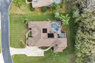 2914 Shipston Ave, New Port Richey, FL 34655 - Photo 67