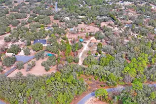 12404 Dolquieb Ln, Weeki Wachee, FL 34614 - Photo 51