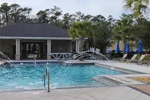 5508 Viola Lee Wy, Lutz, FL 33558 - Photo 59