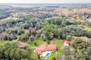 249 Dogwood Trce, Tarpon Springs, FL 34688 - Photo 97