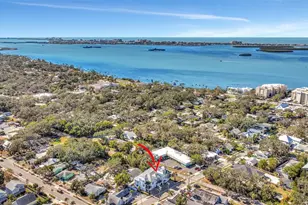 331 Albert St, Dunedin, FL 34698 - Photo 3