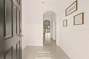 34395 Sorrel Mint Dr, Wesley Chapel, FL 33543 - Photo 7