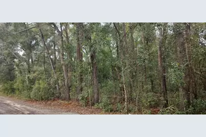 1221 E Rhapsody Lane, Hernando, FL 34442 - Photo 1