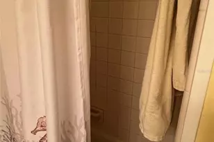 52 Frangipani Cir, Largo, FL 33770 - Photo 33