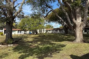 3115 Mission Grove Dr, Palm Harbor, FL 34684 - Photo 5
