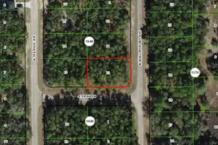 8590 N Wallingford Ave, Dunnellon, FL 34434 - Photo 1
