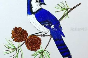 218 Red Maple Dr, Palm Harbor, FL 34684 - Photo 27