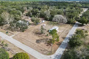 18805 St Paul Dr, Spring Hill, FL 34610 - Photo 23