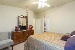 6722 Boulder Run Loop, Wesley Chapel, FL 33545 - Photo 31