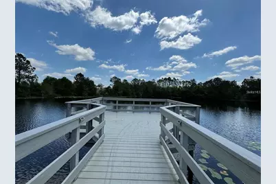 3011 Marble Crest Drive, Land O Lakes, FL 34638 - Photo 47