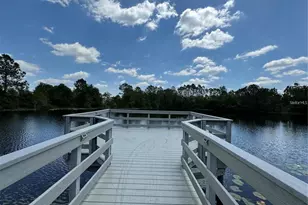 3011 Marble Crest Dr, Land O Lakes, FL 34638 - Photo 47