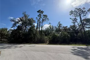 Joyce Ave, North Port, FL 34286 - Photo 1