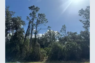 Joyce Avenue, North Port, FL 34286 - Photo 5