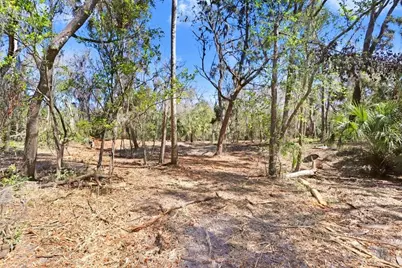 4868 Rambling River Road, Brandon, FL 33511 - Photo 41