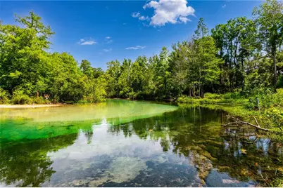 7262 Hidden Cove Court, Spring Hill, FL 34607 - Photo 17