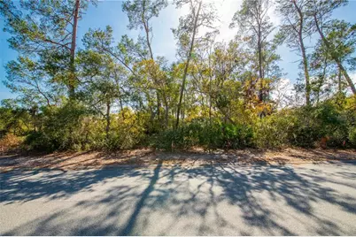 7262 Hidden Cove Court, Spring Hill, FL 34607 - Photo 11