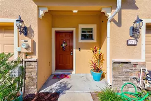 780 Spring Flowers Trl, Brandon, FL 33511 - Photo 29