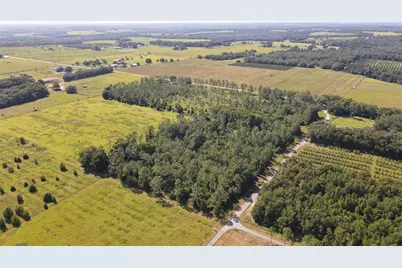 Amberlea Road, Dade City, FL 33523 - Photo 1