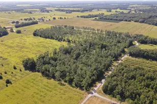 Amberlea Rd, Dade City, FL 33523 - Photo 1