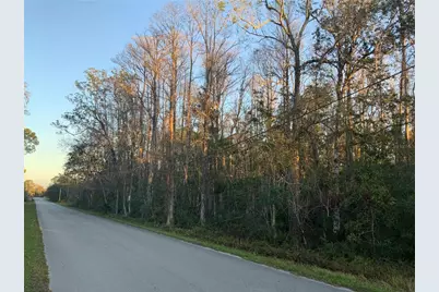 12842 Midvale Avenue, New Port Richey, FL 34654 - Photo 5