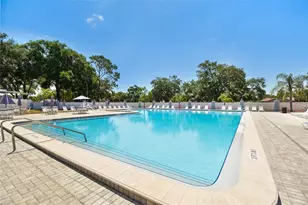 23227 Club Villas Dr, Land O Lakes, FL 34639 - Photo 39