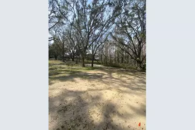 7405 Shoupe Road, Plant City, FL 33565 - Photo 39