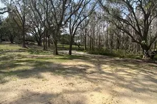 7405 Shoupe Rd, Plant City, FL 33565 - Photo 39