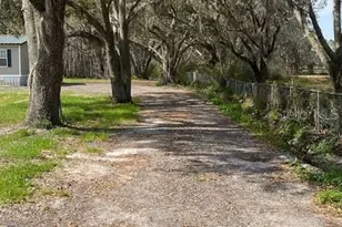 7405 Shoupe Rd, Plant City, FL 33565 - Photo 35